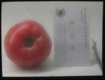 化工奈米技術示意圖